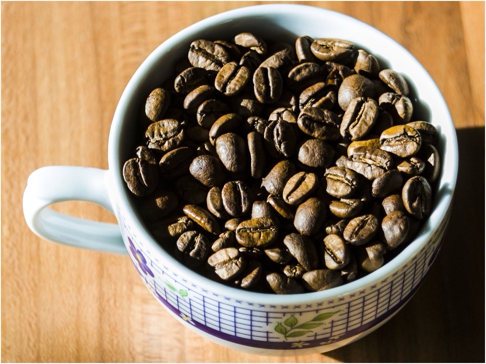 カップに入った焙煎したてのコーヒー豆